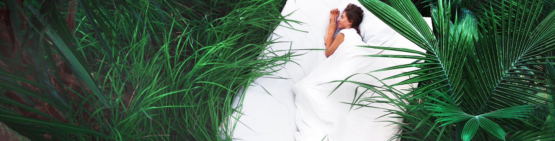 Botanic Duvets