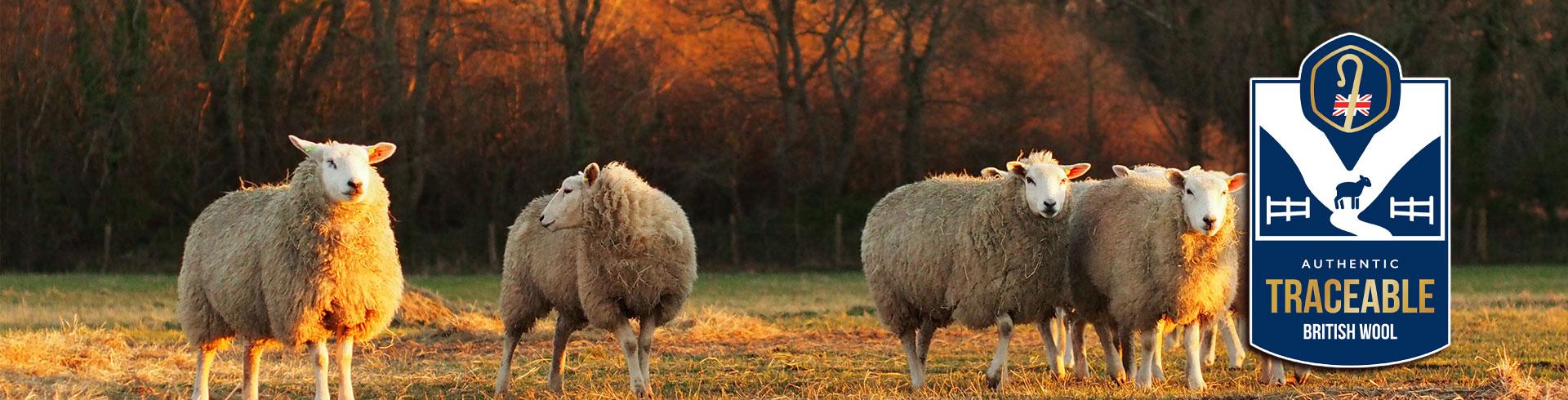 traceable Devon wool duvets