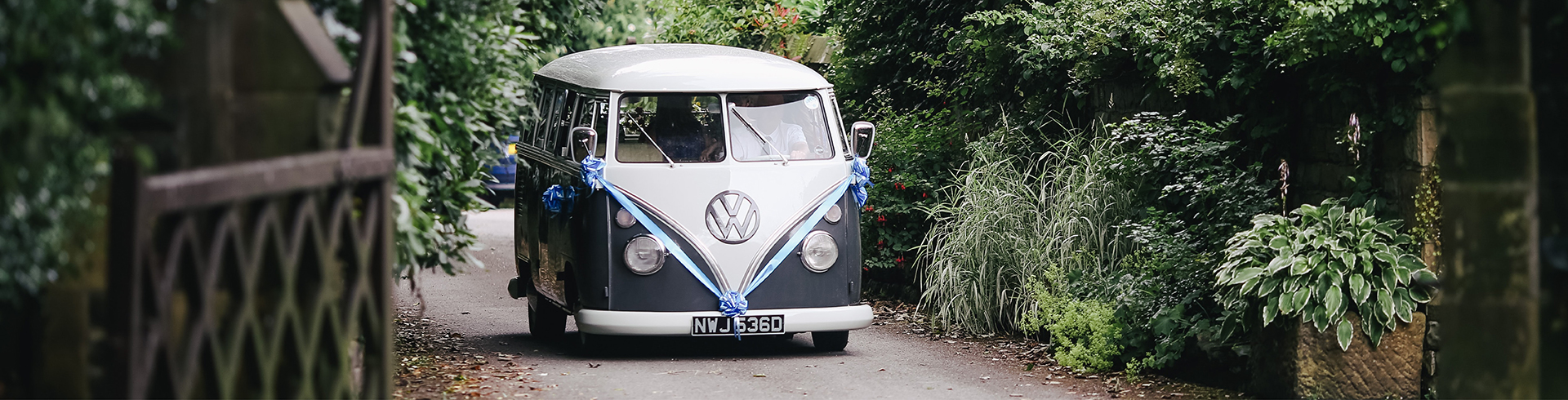 VDUB & RV