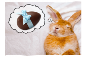 Happy Easter from Devon Duvets