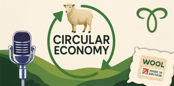 Illustration of a sheep, microphone and wool label representing sustainability, podcasting and British-made products.