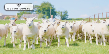 Why we use a single breed for the wool in our British wool bedding