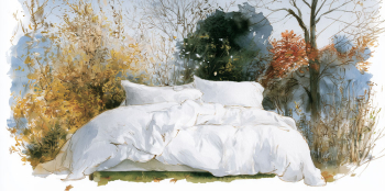 watercolour illustration of a bed with different season behind.