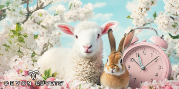 sheep with a clock