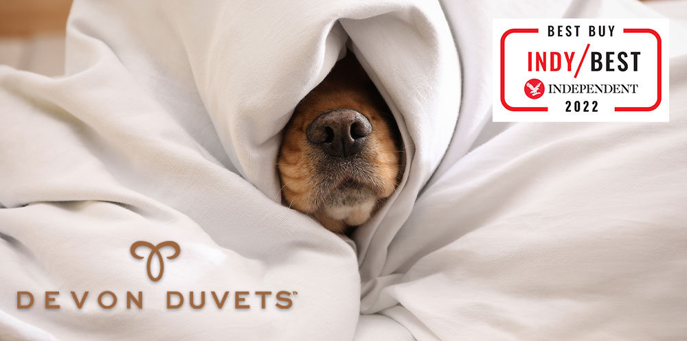 A dog under a duvet with the indy best logo 2023 for winning the best winter duvet.