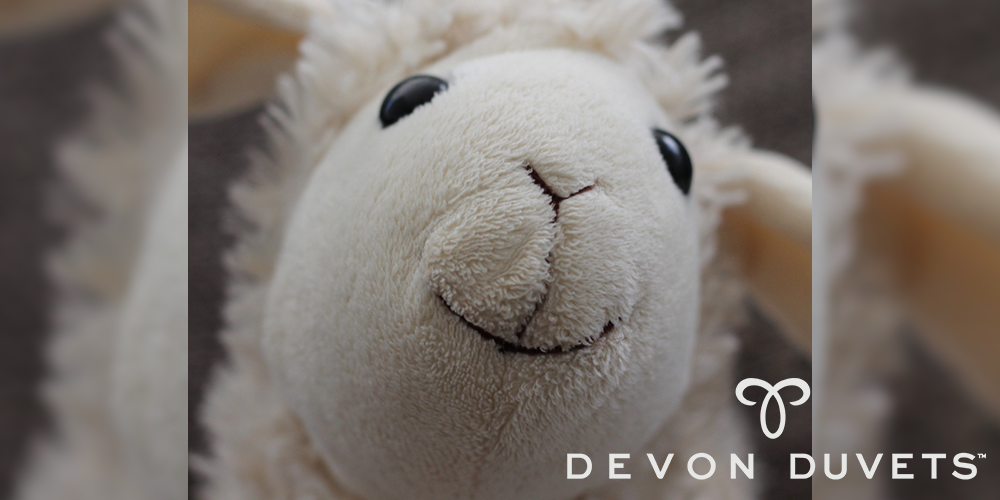 Seven Reasons for Choosing a Devon Duvets Wool Duvet