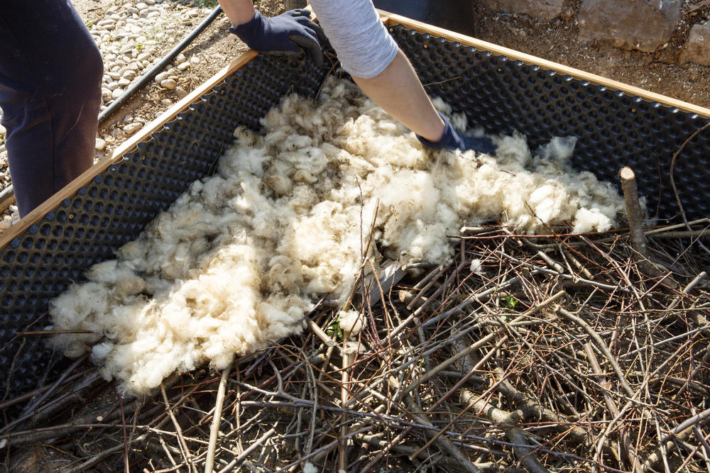 Ten unusual uses for wool