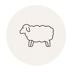 Sheep icon representing traceable British wool