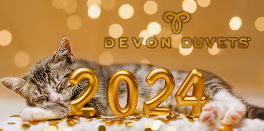 A serene cat relaxing under bold numerals '2024', symbolizing peace and tranquility for the upcoming year.