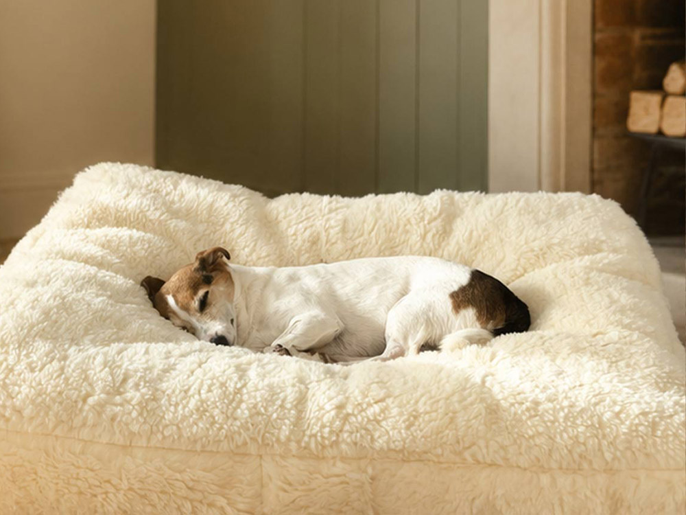 A dog resting on a Devon Duvets fleece pet bed.