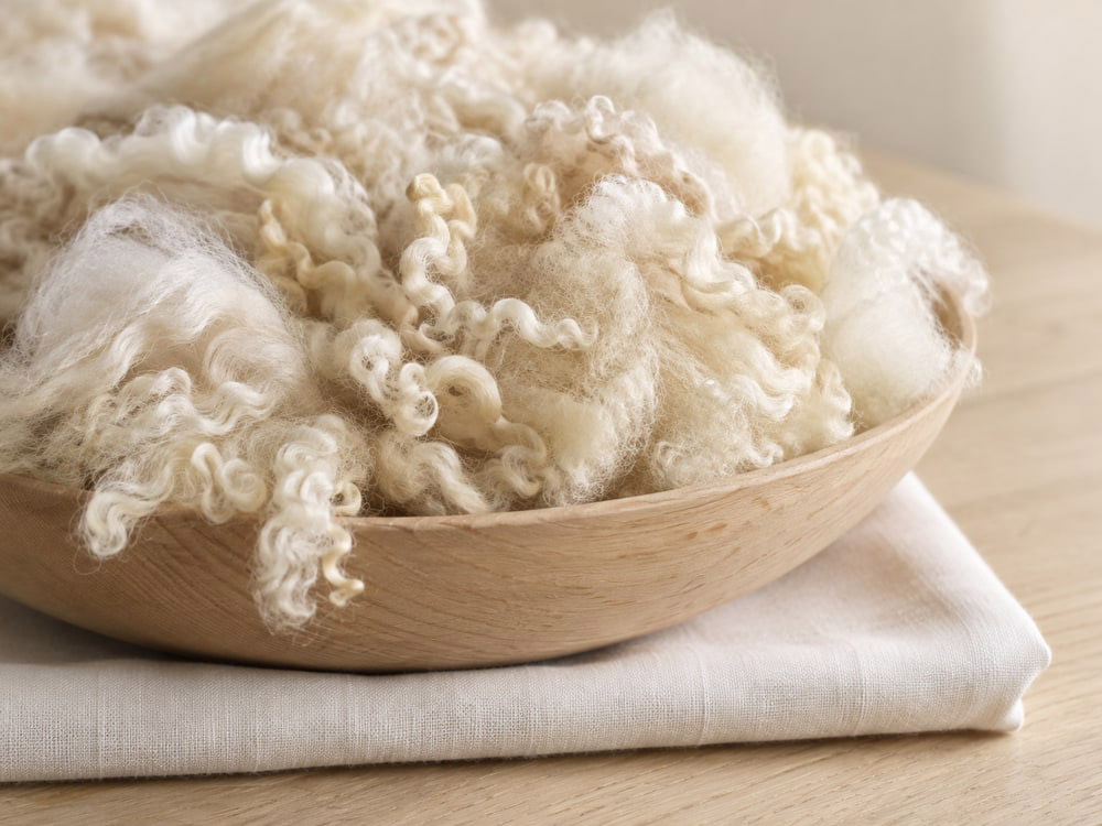 Natural cream-coloured wool held in two hands.