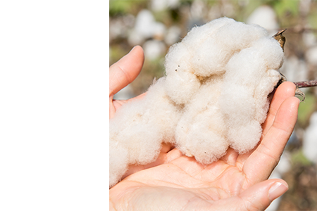 Devon wool in your hand