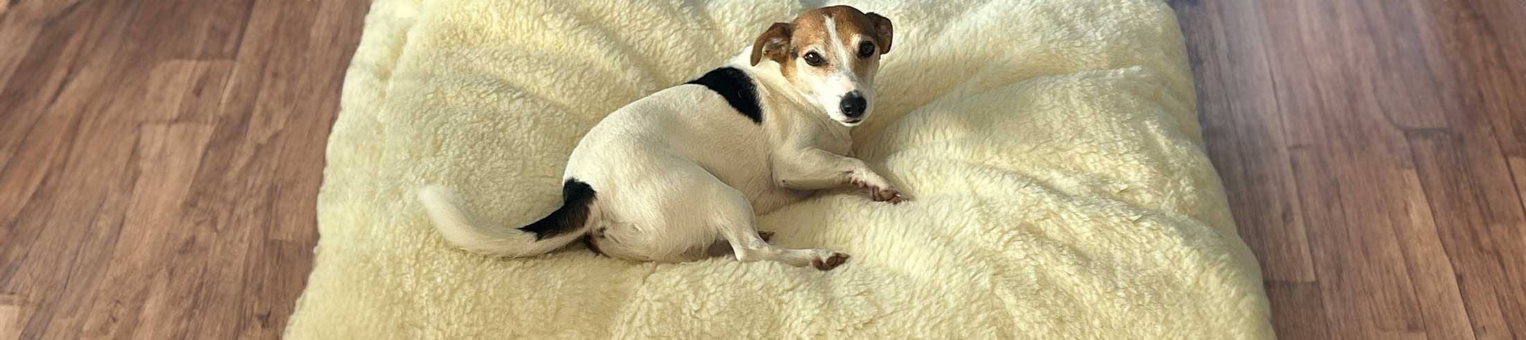 Spacious and luxurious wool dog bed in natural white, providing ample room for your dog to stretch and relax.