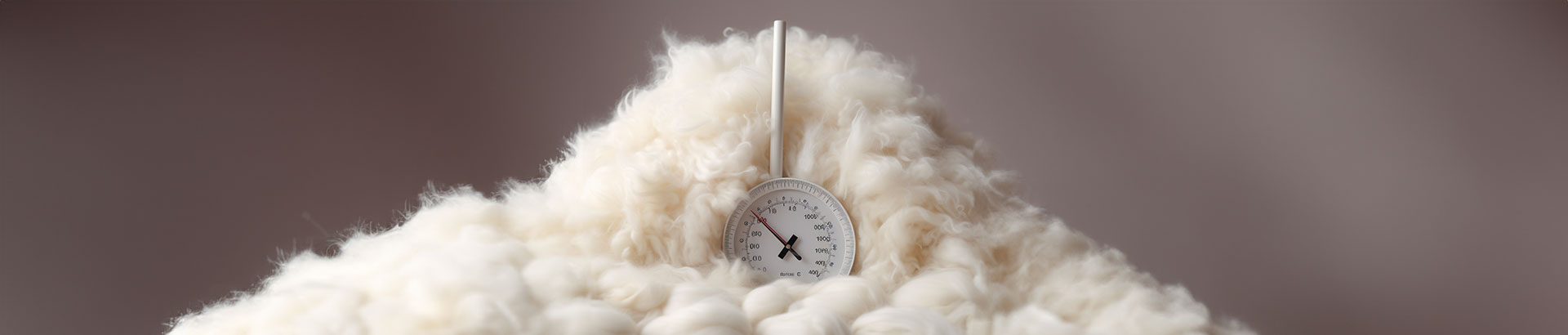 A thermometer in wool to compare tog ratings from synthetic materials.