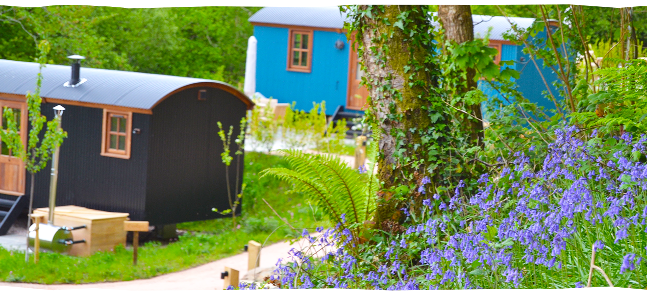shepeherds huts in the Devon countryside