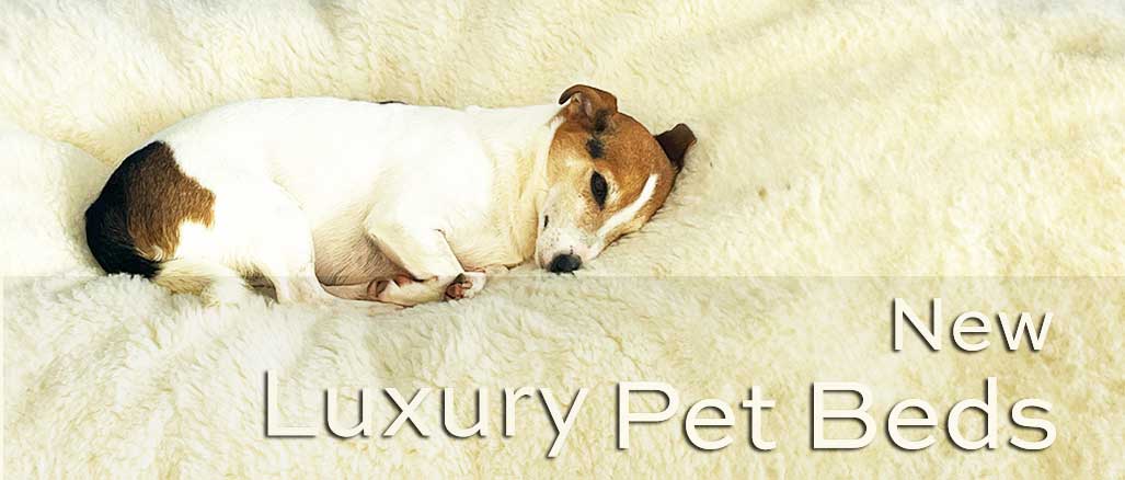 luxurious pet bed made with 100% british wool for dogs and cats.