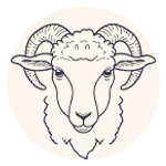 rare breeds wool duvets logo