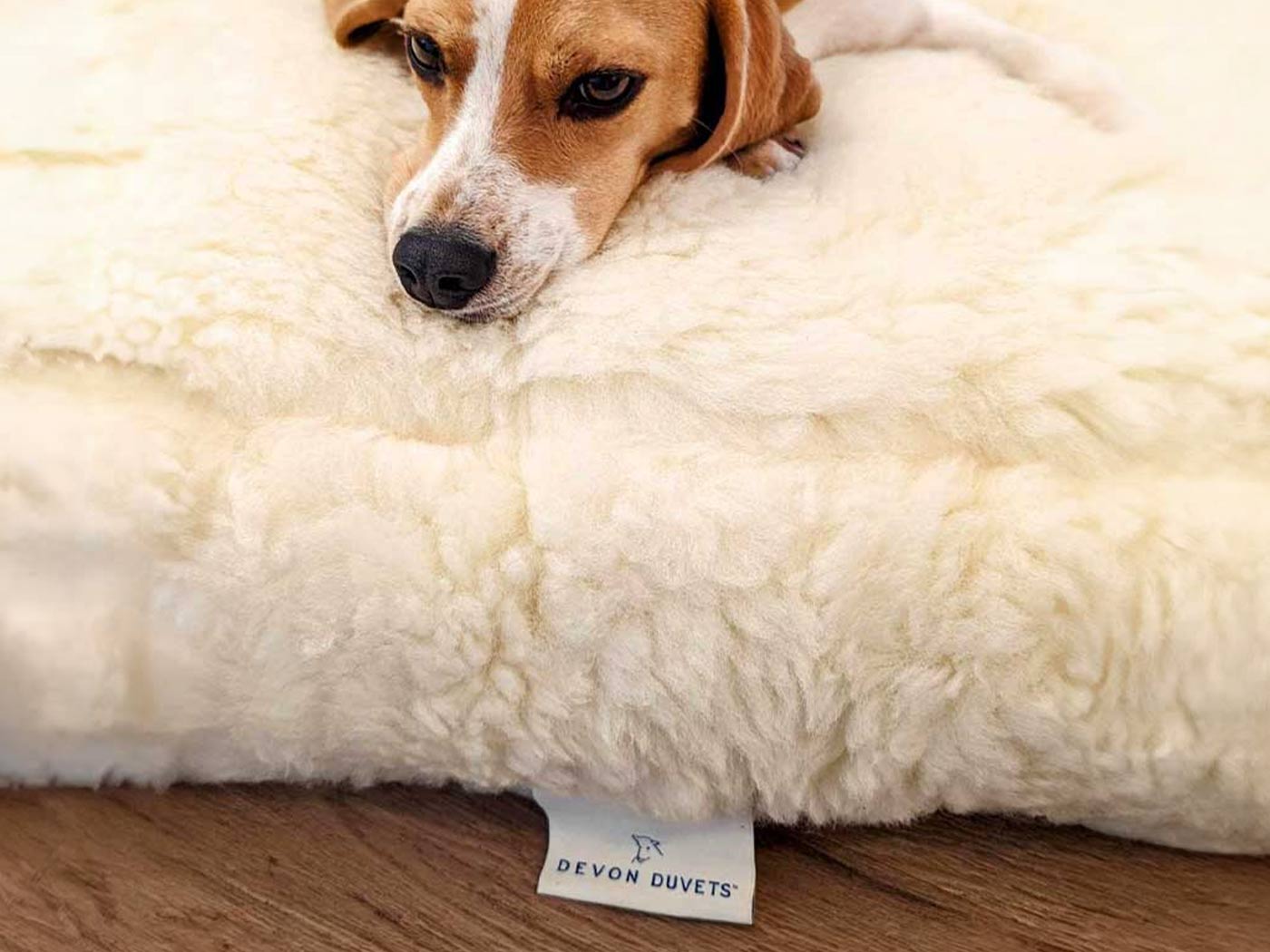 Pet bed wool filling and its empty cream fleece casing airing separately