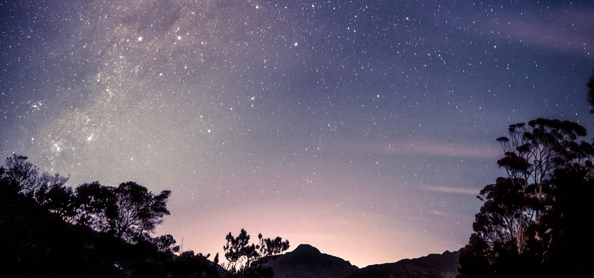 Clear night sky filled with stars above a forest silhouette, evoking peace and natural beauty.
